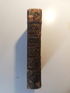 Lettres De Monsieur De Bongars Resident & Ambassadeur sous Le Roy Henry IV. en diverses negociations importantes: Traduites en Français.. Bongars, ...