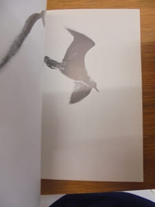 JONATHAN LIVINGSTON LE GOELAND.