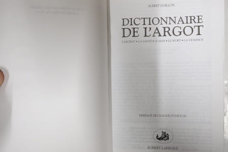 Dictionnaire de l'argot