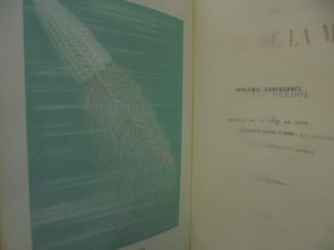 LE MONDE DE LA MER. Illustré de 21 planches sur acier tirées en couleur.. Alfred Frédol