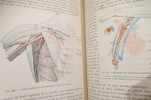 Traité d'Anatomie humaine Tome Deuxieme II deuxième Fascicule Angeiologie . A Poirier P & Charpy 