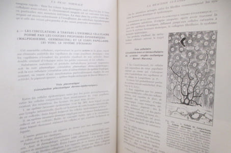 MANUEL PRATIQUE de DERMATOLOGIE