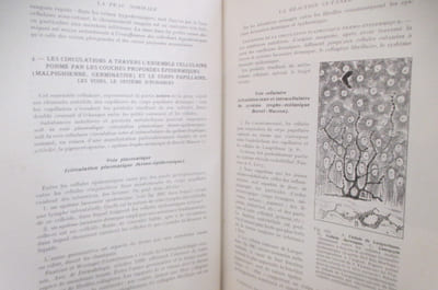 MANUEL PRATIQUE de DERMATOLOGIE