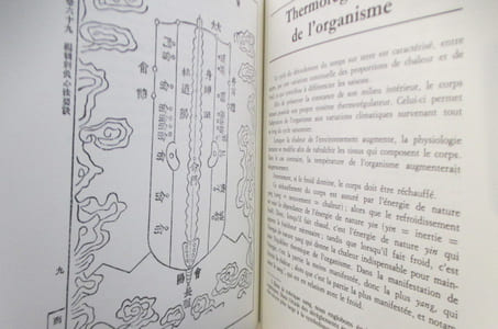 INITIATION A L'ACUPUNCTURE TRADITIONNELLE