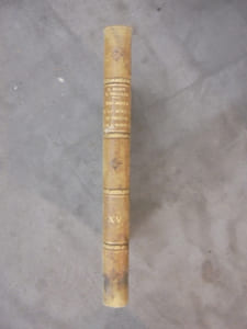 XV. MALADIES DE LA BOUCHE DU PHARYNX ET DE L'OESOPHAGE
