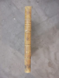 XV. MALADIES DE LA BOUCHE DU PHARYNX ET DE L'OESOPHAGE