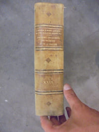 XXIX. MALADIES DES BRONCHES ET DES POUMONS