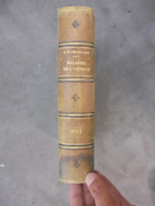 XVI. MALADIES DE L'ESTOMAC