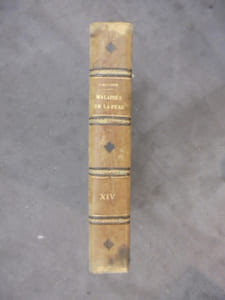 XIV. MALADIES DE LA PEAU