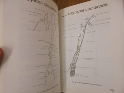 Abrégé d'anatomie et de physiologie humaines