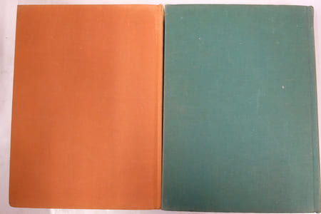 Anatomie humaine, descriptive et topographique; Tome I et II