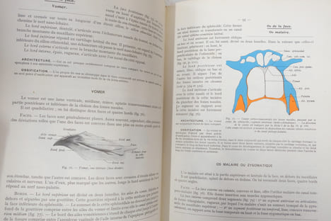 Anatomie humaine, descriptive et topographique; Tome I et II. H. Rouvière
