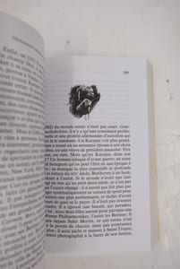 Dictionnaire amoureux de la musique