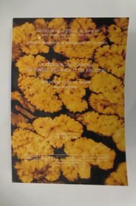 LA GEOLOGIE DES CHARBONS, DES SCHISTES BITUMEUX ET DES KEROGENES / GEOLOGY OF COAL, OIL SHALES AND KEROGENS. Journées de Pau 9 et 10 avril 1981.
