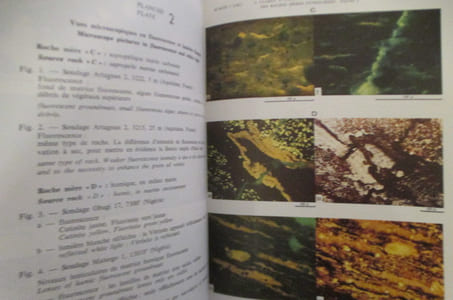 LA GEOLOGIE DES CHARBONS, DES SCHISTES BITUMEUX ET DES KEROGENES / GEOLOGY OF COAL, OIL SHALES AND KEROGENS. Journées de Pau 9 et 10 avril 1981.