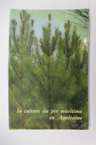 LA CULTURE DU PIN MARITIME EN AQUITAINE.