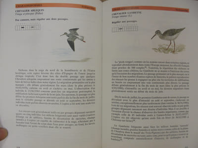 LES OISEAUX DU MASSIF DE FONTAINEBLEAU ET DES ENVIRONS. 
