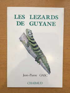 LES LEZARDS DE GUYANE.