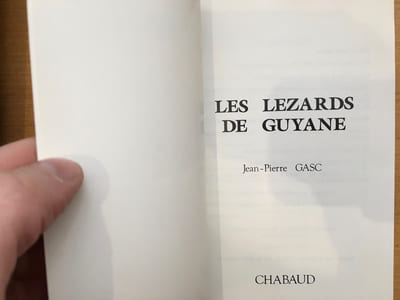 LES LEZARDS DE GUYANE.