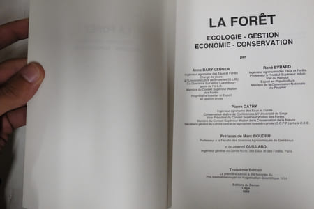 La Forêt