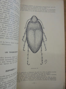 Bulletin de Madagascar. N° 93 Février 1954.