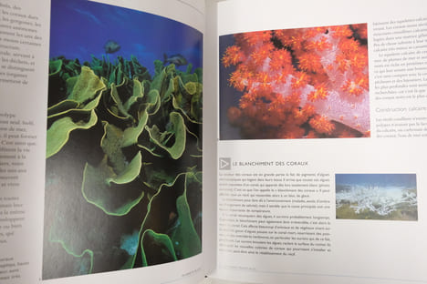 La Planète bleue au coeur des océans. Andrew Byatt, Martha Holmes, Alastair Fothergill