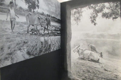 THE FACE OF LIFE. 44 plates in four-colour photogravure.