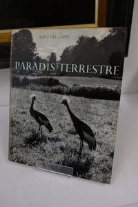 PARADIS TERRESTRE