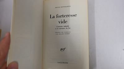 La forteresse vide
