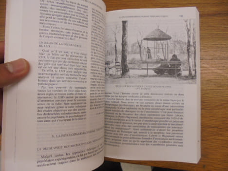 La folie, histoire et dictionnaire. Thuillier Jean