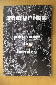 PAYSAGE DU ROMAN MAURIACIEN : Le côté des Landes.