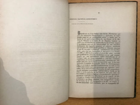 Memoria sobre la ganaderia de Gipuzcoa y sus industrias similares, medios de evitar su decadencia y fomentar su desarollo. Adolfo Comba y Garcia