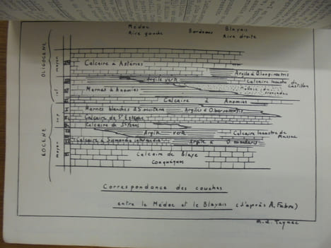 LE BAS MEDOC - ETUDE GEOLOGIQUE.. COLLECTIF