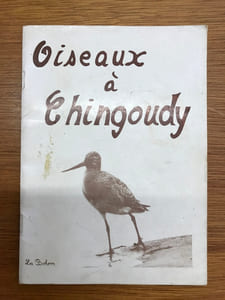 Oiseaux à Chingoudy