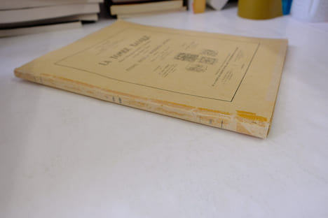 LA TOMBE BASQUE - Recueil d'Inscriptions funéraires et domestiques du Pays Basque Français - Études, notes et références diverses.. Louis Cola