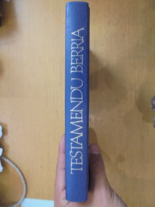 Testamendu Berria