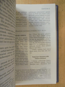 Testamendu Berria