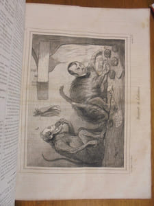 Le Charivari. N° 158-365 de la Dix-Huitième année. et La Revue Bayonnaises 1°-9°.