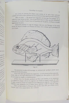 L'ART DE LA TAXIDERMIE AU XXe SIECLE. Recueil de technique pratique de Taxidermie pour Naturalistes, Professionnels, Amateurs et Voyageurs.. R. Didier ...