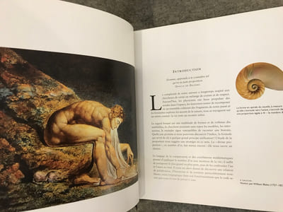 LE CODE SECRET. La formule mystérieuse qui régit les arts, la nature et les sciences.