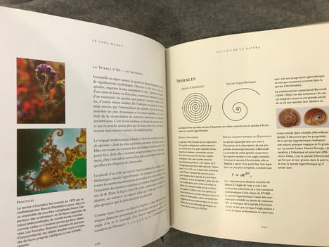 LE CODE SECRET. La formule mystérieuse qui régit les arts, la nature et les sciences.. Priya Hemenway