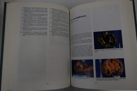 Urologie. Pathologie infectieuse et parasitaire. S. Khoury, C. Chatelain, J.-C. Pechere, L. Boccon-Gibod, C. Richaud