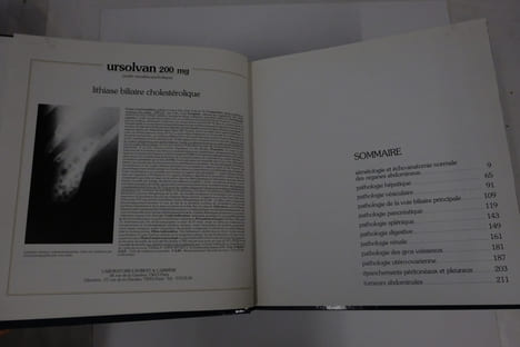 Échographie clinique. H. Honoré, M.N. Escure, V. Monsaingeon