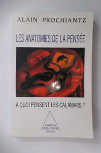 LES ANATOMIES DE LA PENSEE. A quoi pensent les calamars ?