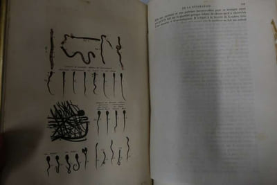 Oeuvres complètes de Buffon : Tome I à XII