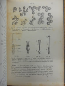 Cours élémentaire d'histoire naturelle