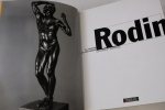 Rodin : La Passion du mouvement. Dominique Jarrassé
