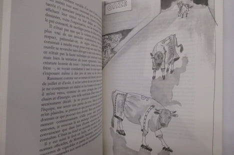 PLEINE LUCARNE. . Lionel Bourg