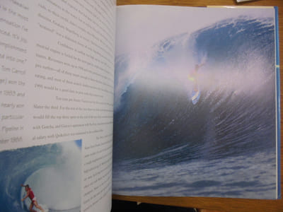 Surfriders: In Search of the Perfect Wave