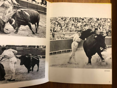 Toreros dans l'arène 
